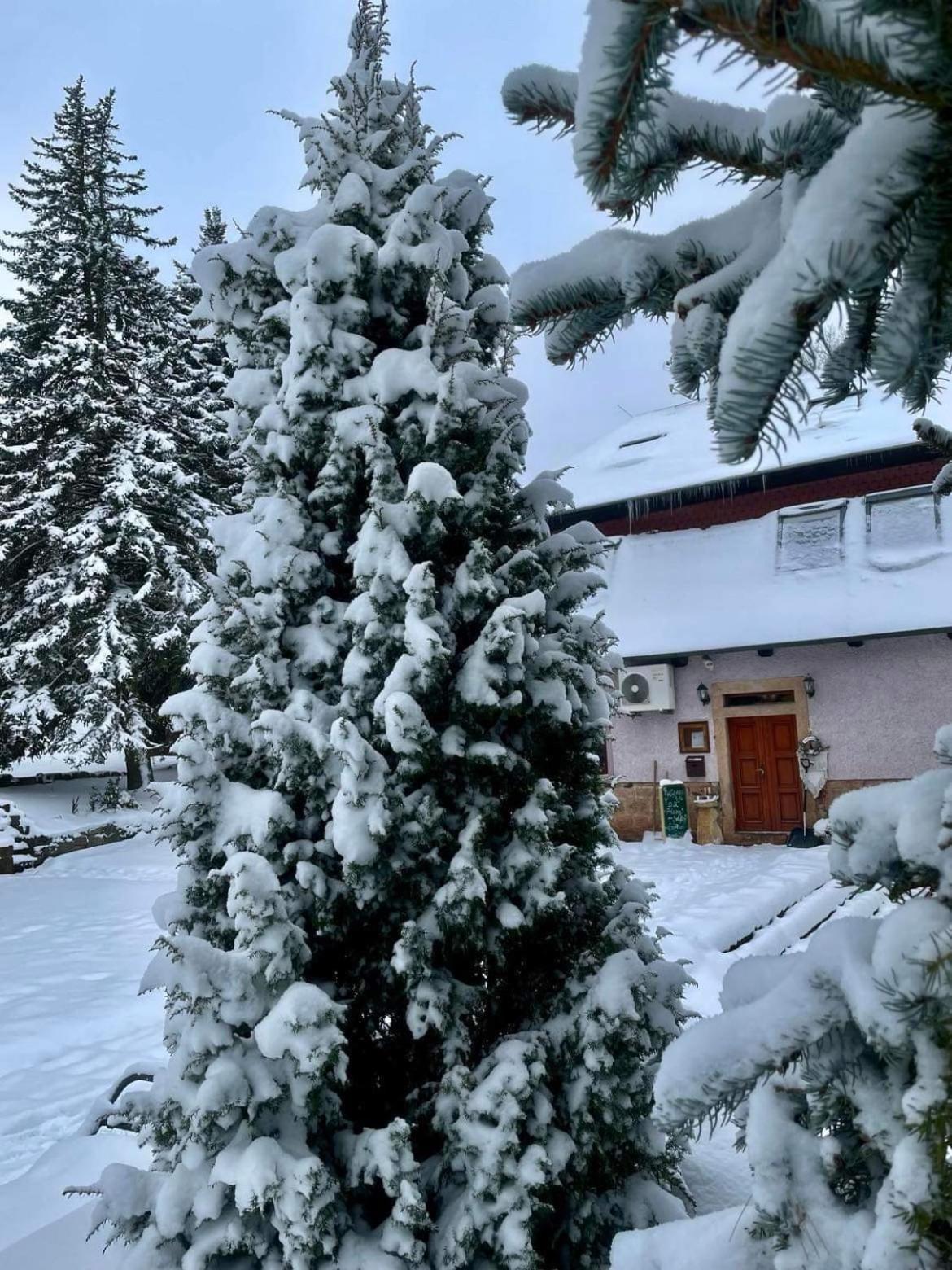 Penzion Tadeášovy domky Hajnice Exterior foto